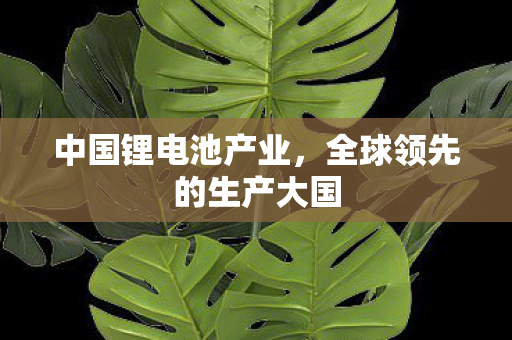 中国锂电池产业，全球领先的生产大国