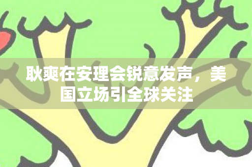 耿爽在安理会锐意发声，美国立场引全球关注