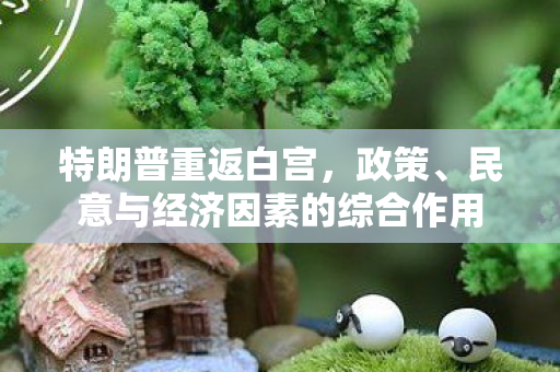 特朗普重返白宫，政策、民意与经济因素的综合作用