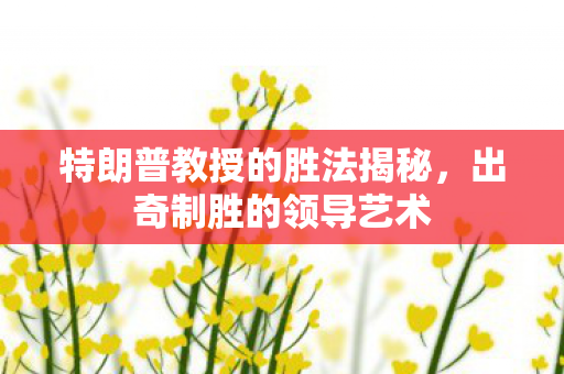 特朗普教授的胜法揭秘，出奇制胜的领导艺术