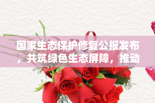 国家生态保护修复公报发布，共筑绿色生态屏障，推动可持续发展