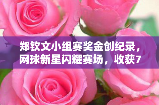 郑钦文小组赛奖金创纪录，网球新星闪耀赛场，收获743万元的荣耀与财富