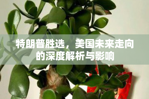 特朗普胜选，美国未来走向的深度解析与影响
