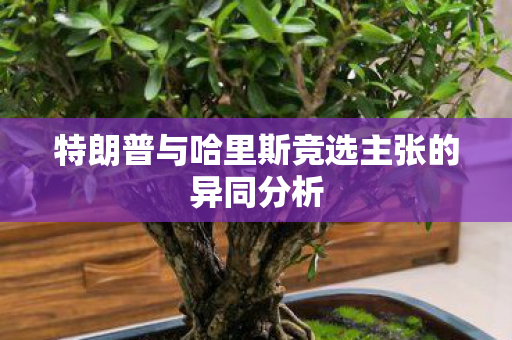 特朗普与哈里斯竞选主张的异同分析