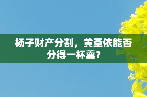 杨子财产分割，黄圣依能否分得一杯羹？