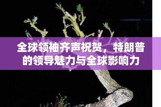 全球领袖齐声祝贺，特朗普的领导魅力与全球影响力