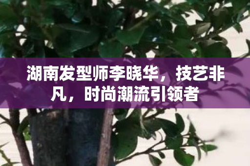 湖南发型师李晓华，技艺非凡，时尚潮流引领者