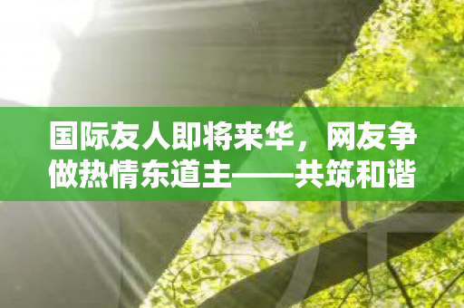 国际友人即将来华，网友争做热情东道主——共筑和谐交流桥梁