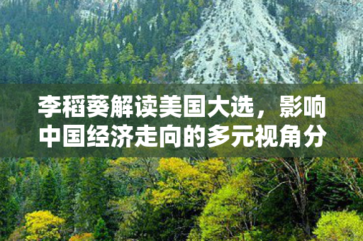 李稻葵解读美国大选，影响中国经济走向的多元视角分析