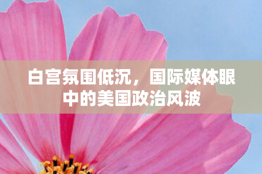 白宫氛围低沉，国际媒体眼中的美国政治风波