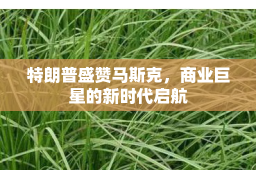 特朗普盛赞马斯克，商业巨星的新时代启航