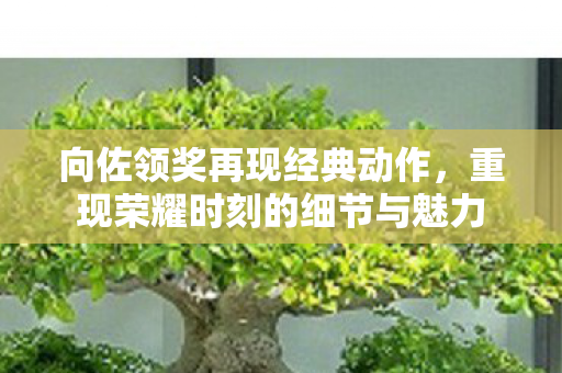 向佐领奖再现经典动作，重现荣耀时刻的细节与魅力