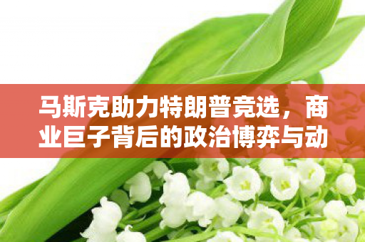 马斯克助力特朗普竞选，商业巨子背后的政治博弈与动机分析