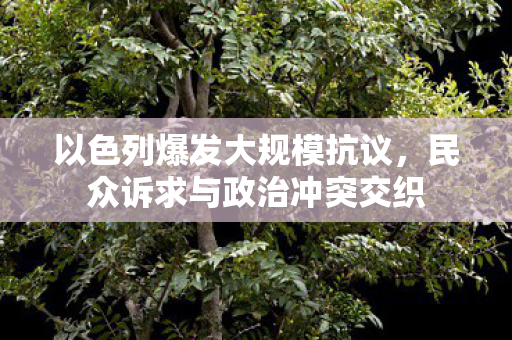以色列爆发大规模抗议，民众诉求与政治冲突交织