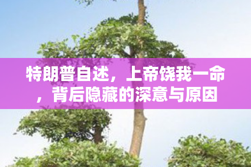 特朗普自述，上帝饶我一命，背后隐藏的深意与原因
