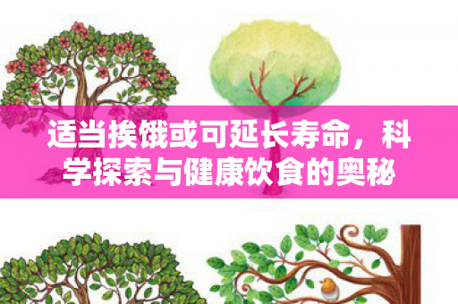 适当挨饿或可延长寿命，科学探索与健康饮食的奥秘