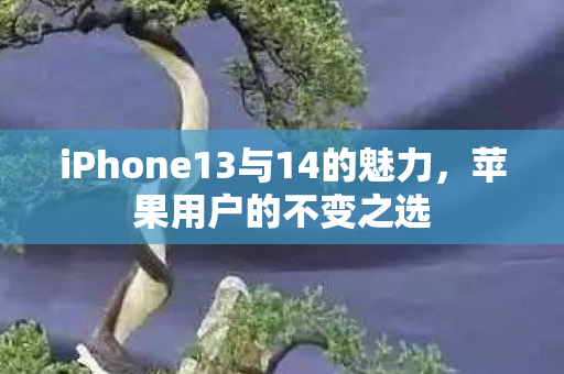 iPhone13与14的魅力，苹果用户的不变之选