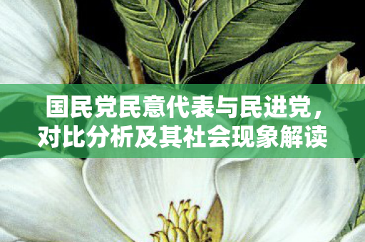 国民党民意代表与民进党，对比分析及其社会现象解读