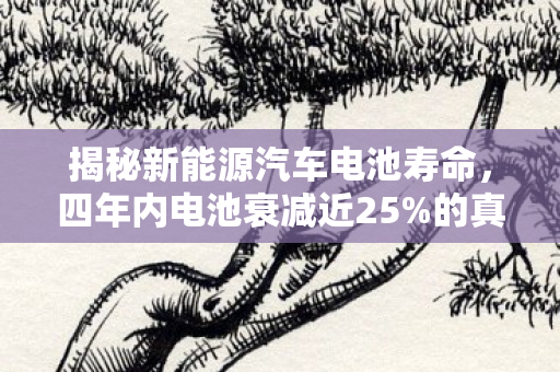 揭秘新能源汽车电池寿命，四年内电池衰减近25%的真相
