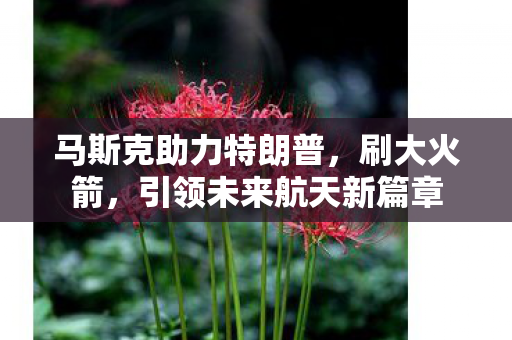 马斯克助力特朗普，刷大火箭，引领未来航天新篇章