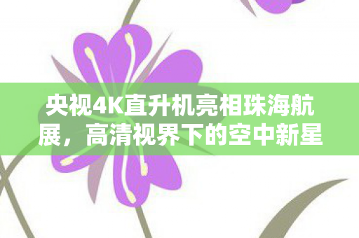 央视4K直升机亮相珠海航展，高清视界下的空中新星