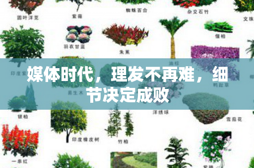 媒体时代，理发不再难，细节决定成败