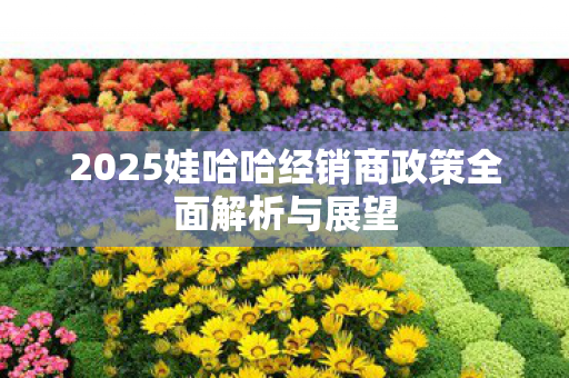 2025娃哈哈经销商政策全面解析与展望