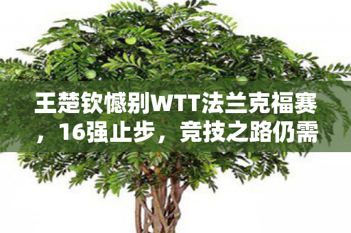 王楚钦憾别WTT法兰克福赛，16强止步，竞技之路仍需砥砺前行