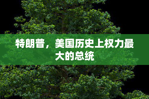 特朗普，美国历史上权力最大的总统