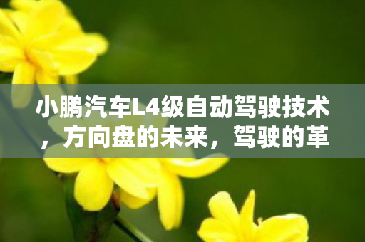 小鹏汽车L4级自动驾驶技术，方向盘的未来，驾驶的革命