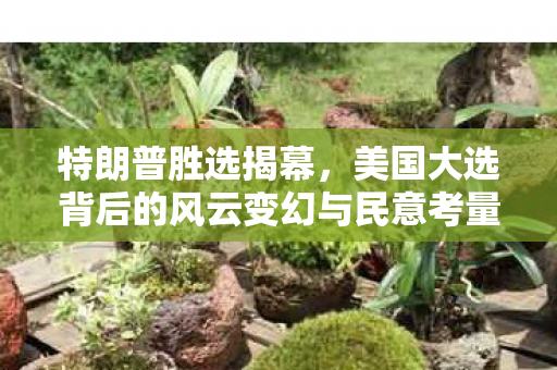 特朗普胜选揭幕，美国大选背后的风云变幻与民意考量