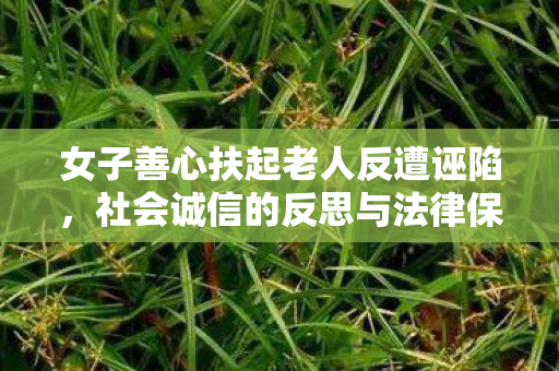 女子善心扶起老人反遭诬陷，社会诚信的反思与法律保障的探讨