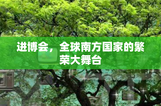 进博会，全球南方国家的繁荣大舞台