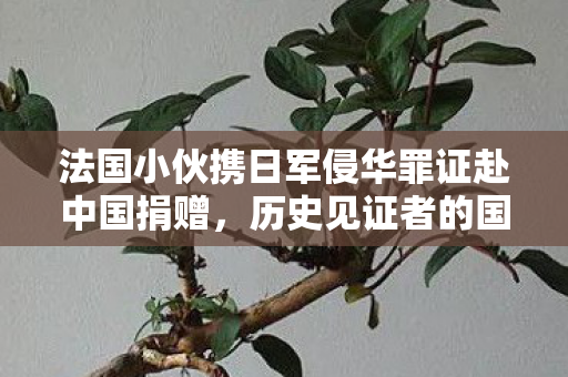 法国小伙携日军侵华罪证赴中国捐赠，历史见证者的国际善举