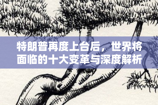 特朗普再度上台后，世界将面临的十大变革与深度解析