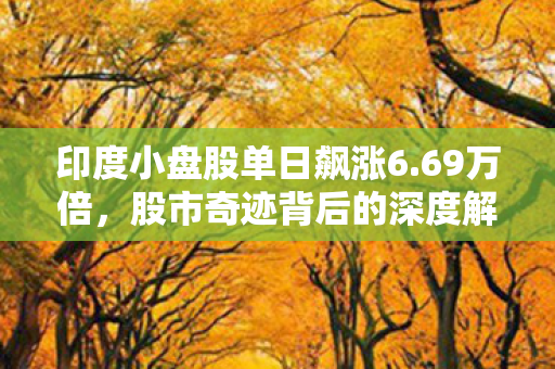 印度小盘股单日飙涨6.69万倍，股市奇迹背后的深度解析
