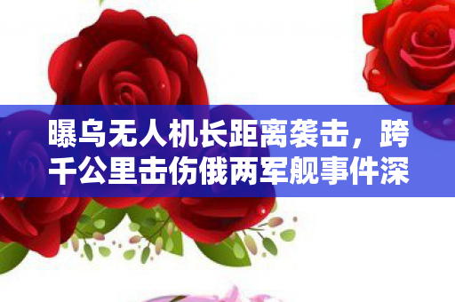 曝乌无人机长距离袭击，跨千公里击伤俄两军舰事件深度解析