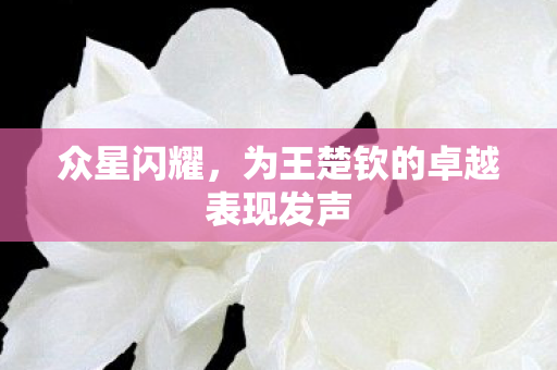 众星闪耀，为王楚钦的卓越表现发声