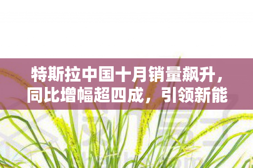 特斯拉中国十月销量飙升，同比增幅超四成，引领新能源汽车市场新风潮