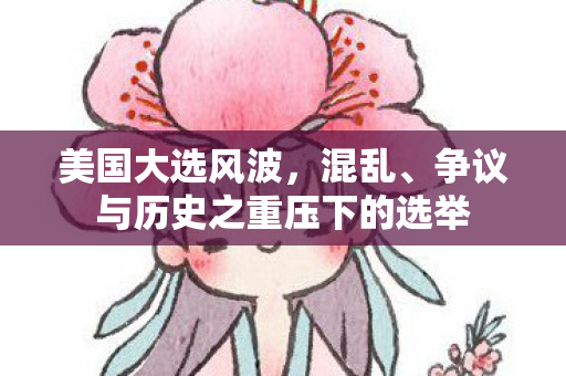美国大选风波，混乱、争议与历史之重压下的选举