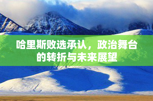 哈里斯败选承认，政治舞台的转折与未来展望