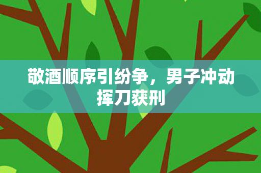 敬酒顺序引纷争，男子冲动挥刀获刑