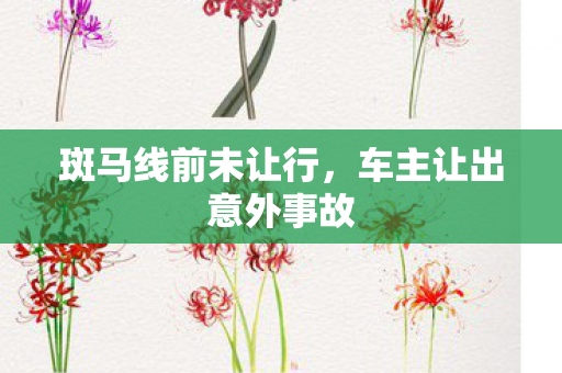 斑马线前未让行，车主让出意外事故