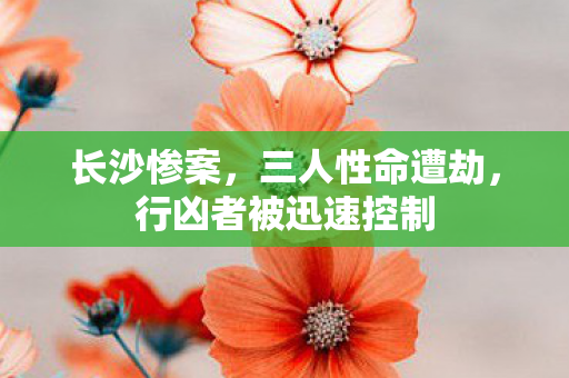 长沙惨案，三人性命遭劫，行凶者被迅速控制