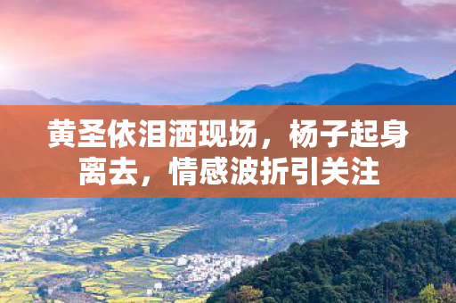 黄圣依泪洒现场，杨子起身离去，情感波折引关注