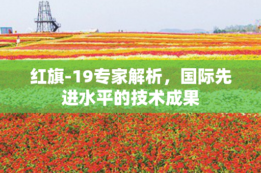 红旗-19专家解析，国际先进水平的技术成果