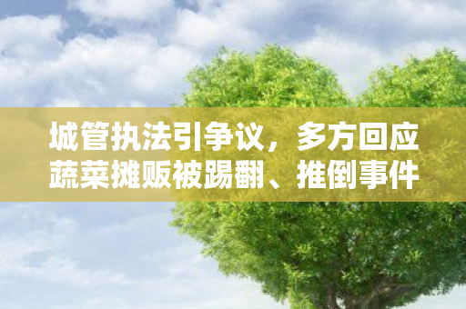 城管执法引争议，多方回应蔬菜摊贩被踢翻、推倒事件