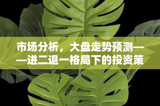 市场分析，大盘走势预测——进二退一格局下的投资策略探讨