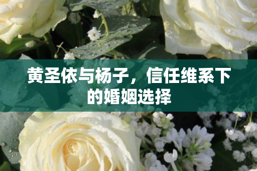 黄圣依与杨子，信任维系下的婚姻选择
