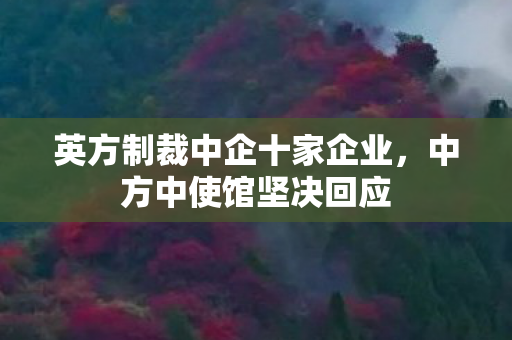 英方制裁中企十家企业，中方中使馆坚决回应